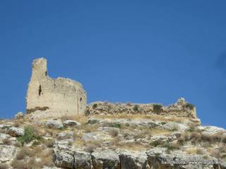 stello Mongialino-08-09-2014 17-04-18